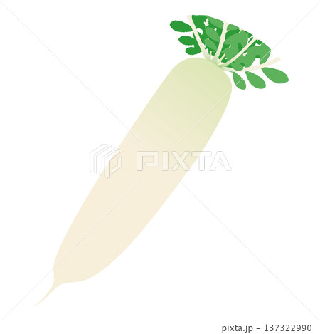 大根のベクターアイコン、葉物野菜のイラスト素材 大根のベクターアイコン、葉物野菜のイラスト素材 137322990