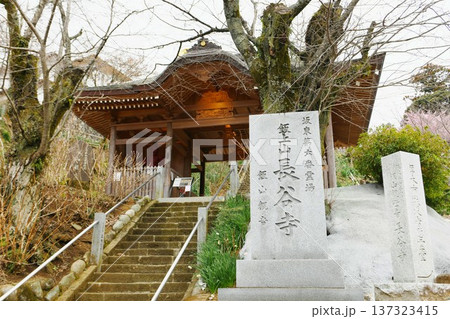 【厚木市 坂東三十三カ所霊場の第六札所「長谷寺(飯山観音)」山門(仁王門)】 【厚木市 坂東三十三カ所霊場の第六札所「長谷寺(飯山観音)」山門(仁王門)】 137323415
