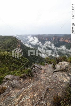 Scenic landscape view from Anvil Hill Lookout in the Blue Mountains National Park overlooking rugged sandstone cliffs, forested valleys and expansive bushland Scenic landscape view from Anvil Hill Lookout in the Blue Mountains National Park overlooking rugged sandstone cliffs, forested valleys and expansive bushland 137323454