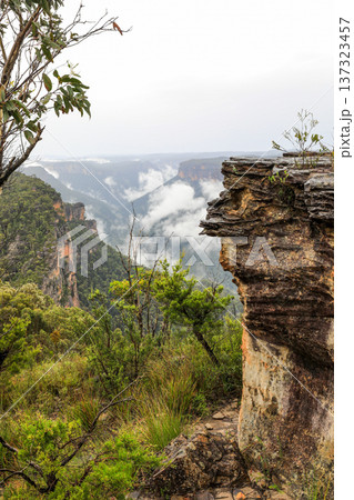 Scenic landscape view from Anvil Hill Lookout in the Blue Mountains National Park overlooking rugged sandstone cliffs, forested valleys and expansive bushland 137323457