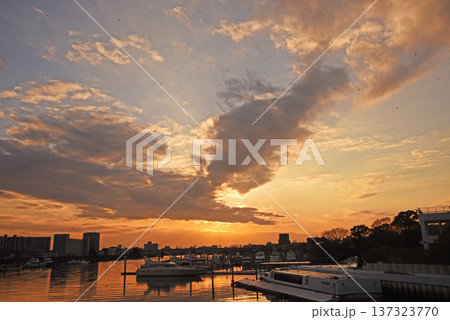 夕雲 夕雲 137323770