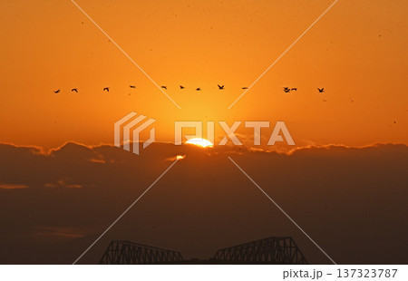 落陽風景 落陽風景 137323787