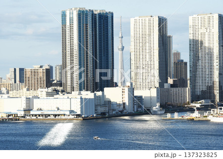 東京湾風景 137323825