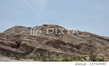 Beautiful Landscape Of The Desert 137324365