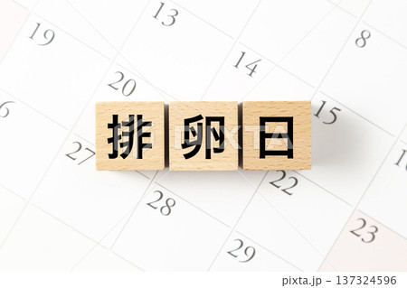 「排卵日」と書かれたブロックとカレンダー 137324596