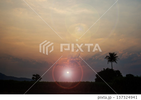 The stunning clouds and sky at sunrise create a magnificent display of colors. The stunning clouds and sky at sunrise create a magnificent display of colors. 137324941