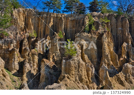 徳島県阿波市「阿波の土柱」 137324990