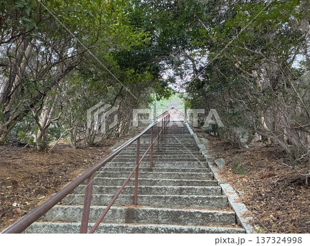 神社に向かう階段 神社に向かう階段 137324998