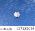 おぢや風船一揆 137325056