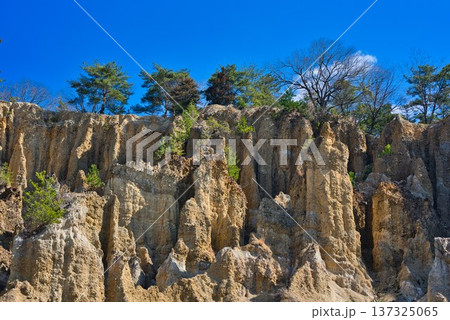徳島県阿波市「阿波の土柱」 137325065