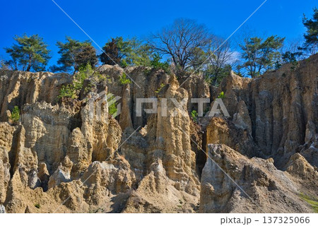 徳島県阿波市「阿波の土柱」 137325066