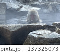 温泉に浸かるお猿さん 137325073