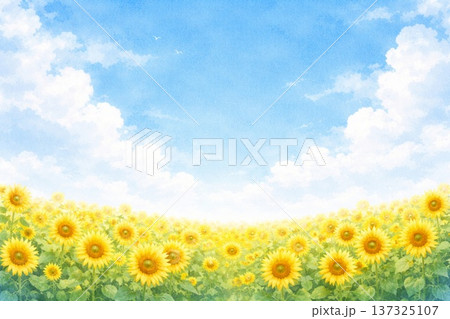 満開のひまわり　青空　大地　水彩画 137325107