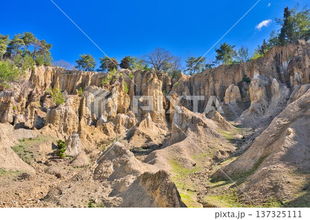 徳島県阿波市「阿波の土柱」 137325111