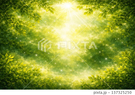 新緑　若葉　森林　環境　エコ　光　油彩画 137325250