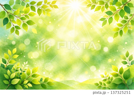 新緑　若葉　森林　環境　エコ　光　貼り絵風 137325251