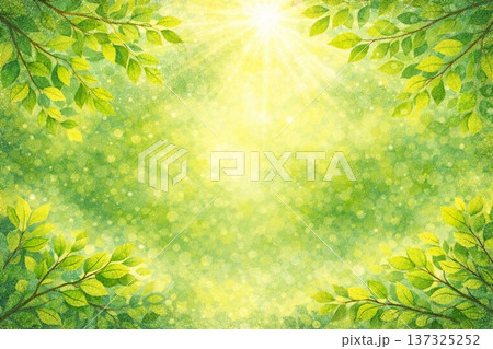 新緑　若葉　森林　環境　エコ　光　砂絵 137325252
