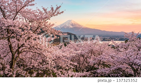 【AI生成】富士と桜 0702511 137325352