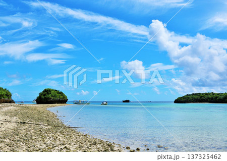 沖縄　石垣島　青空の川平湾 137325462