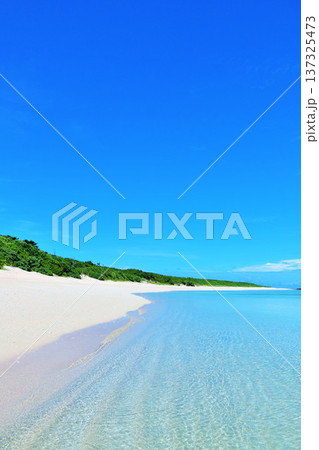 沖縄県　波照間島　夏の青空と海 137325473