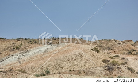 Beautiful Landscape Of The Desert Beautiful Landscape Of The Desert 137325531