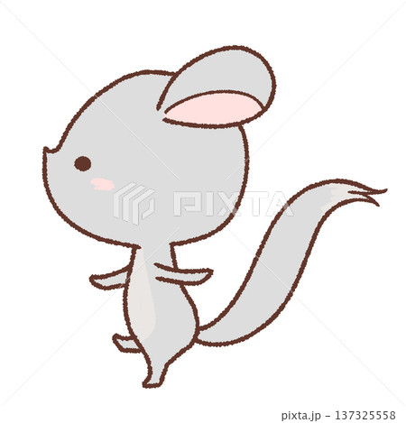 歩くチンチラのイラスト 137325558