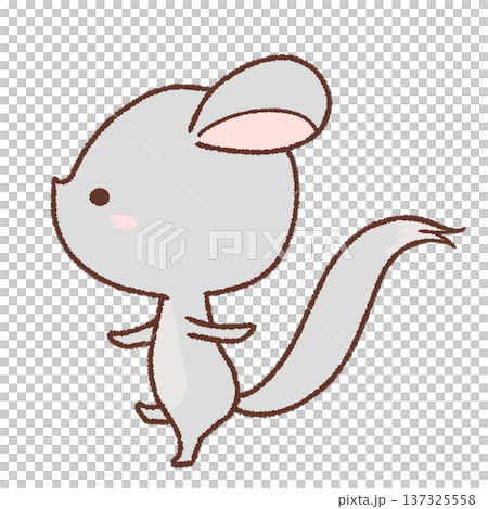 歩くチンチラのイラスト 137325558