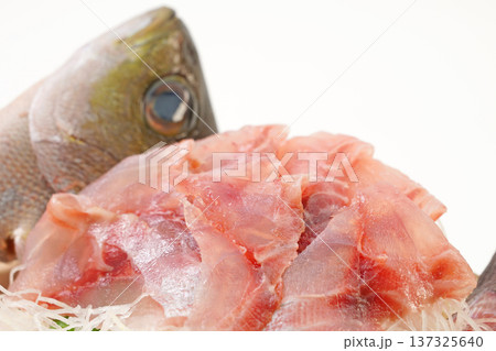 イサキの刺身 137325640
