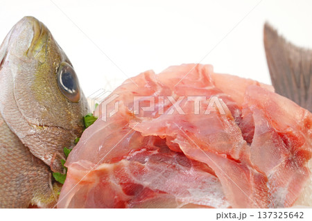 イサキの刺身 137325642