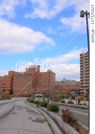 宝来橋から見た兵庫県宝塚市の街並み(縦長) 137325823