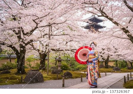 桜満開の日本庭園で和傘を差して佇む舞妓と五重塔 137326367