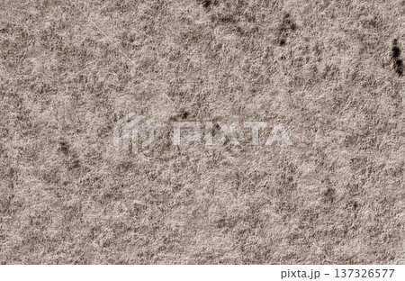 Light brown fibrous material texture background with rough organic woolly surface detail. 137326577