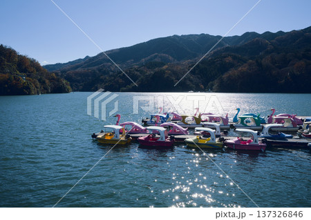 相模湖のボート 相模湖のボート 137326846