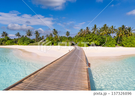 Exotic maldives pier over turquoise ocean on paradise beach tropical island for luxury summer travel background Exotic maldives pier over turquoise ocean on paradise beach tropical island for luxury summer travel background 137326896
