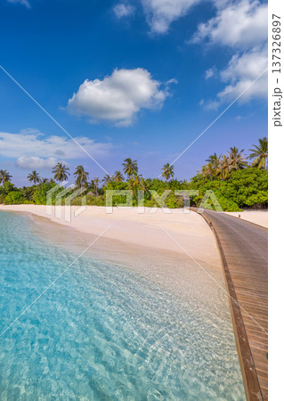 Stunning aerial view of wooden pier on paradise beach maldives tropical island with turquoise ocean water vertical wallpaper, wall art 137326897