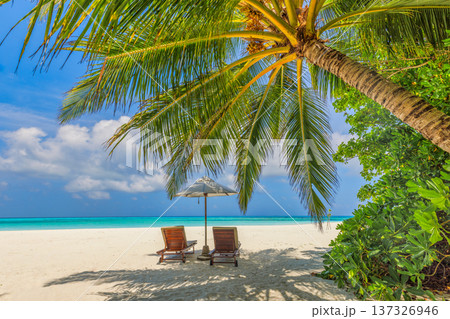Wide view of a sunny beach landscape with love couple relaxing on sun beds and umbrella overlooking the ocean 137326946