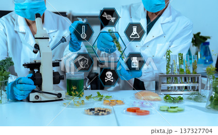 Eco laboratory microbiology. Sample in a Microscope and comparing a plant or herb in test tube or glassware. Natural product and organic cosmetic health care. 137327704