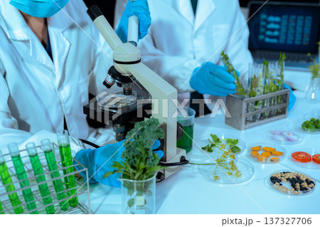 Eco laboratory microbiology. Sample in a Microscope and comparing a plant or herb in test tube or glassware. Natural product and organic cosmetic health care. 137327706