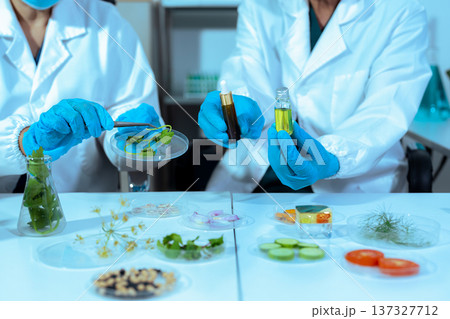 Eco laboratory microbiology. Sample in a Microscope and comparing a plant or herb in test tube or glassware. Natural product and organic cosmetic health care. 137327712