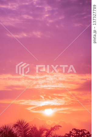 Abstract and pattern of cloud sky, Velvet violet, Velvet Purple, Trend color of the year background Abstract and pattern of cloud sky, Velvet violet, Velvet Purple, Trend color of the year background 137327789