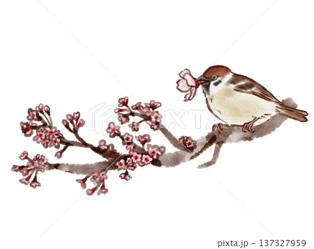 桜の枝にとまるスズメ(墨ペン水彩風) 桜の枝にとまるスズメ(墨ペン水彩風) 137327959