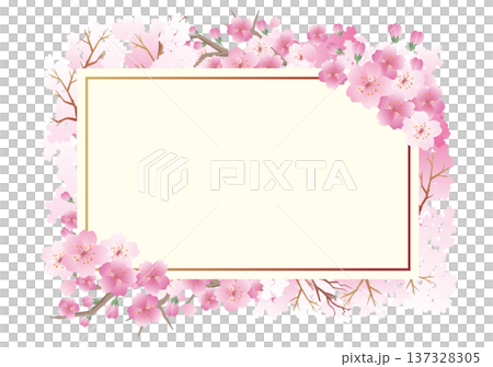 Spring cherry blossom frame background Spring cherry blossom frame background 137328305
