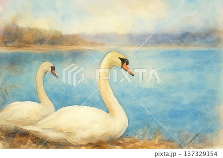 2羽のオオハクチョウ 137329154