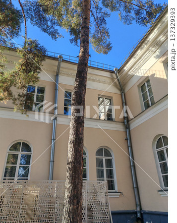 A section of a classical building framed by tall pines, with metal detailing enhancing the aesthetic. It reflects the harmony between natural surroundings and historic architecture. A section of a classical building framed by tall pines, with metal detailing enhancing the aesthetic. It reflects the harmony between natural surroundings and historic architecture. 137329393