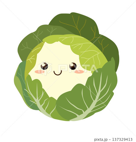 cabbage happy vegetable character icon 137329413