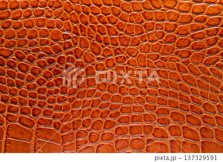 brown crocodile leather texture closeup 137329591