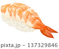 リアルなエビのお寿司一貫のイラスト 137329846