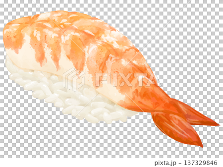 逼真的蝦壽司插圖 137329846