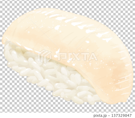 リアルなイカのお寿司一貫のイラスト リアルなイカのお寿司一貫のイラスト 137329847