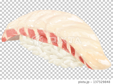 Realistic illustration of a sea bream sushi piece Realistic illustration of a sea bream sushi piece 137329848